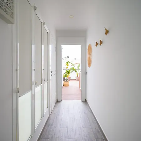 Topsun - Rooftop With Large Terrace Apartment