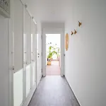 Topsun - Rooftop With Large Terrace Appartement